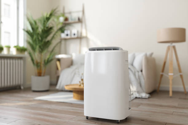 Best Ductless Mini-Split Systems in Sterling Ranch, CO